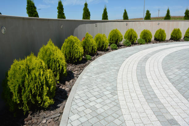 Best Driveway Repair Near Me  in Henderson, TX